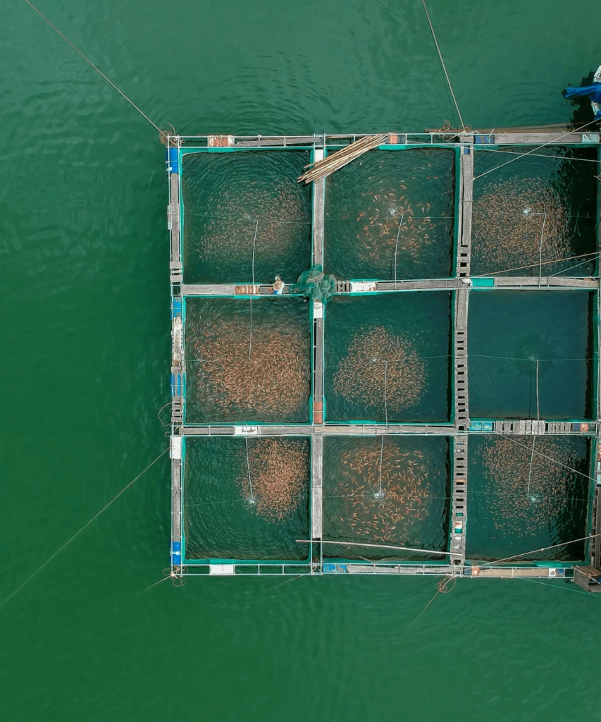 Aquaculture Monitoring Solution