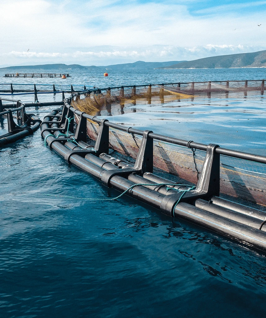 Aquaculture Monitoring