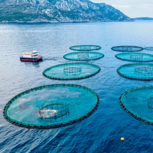 Environmental Monitoring Weather Station