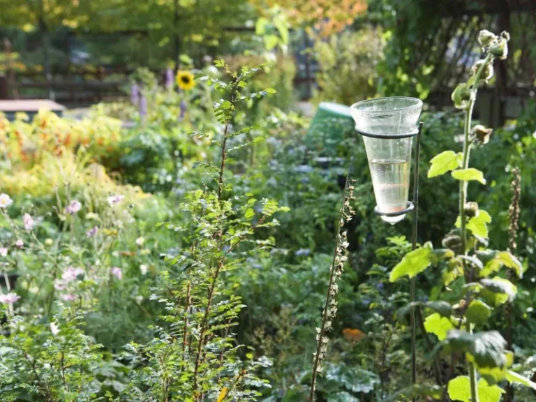 The Evolution and History of the Rain Gauge