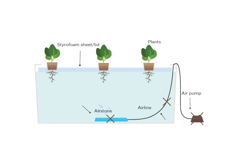 The Importance of Monitoring Water Levels
