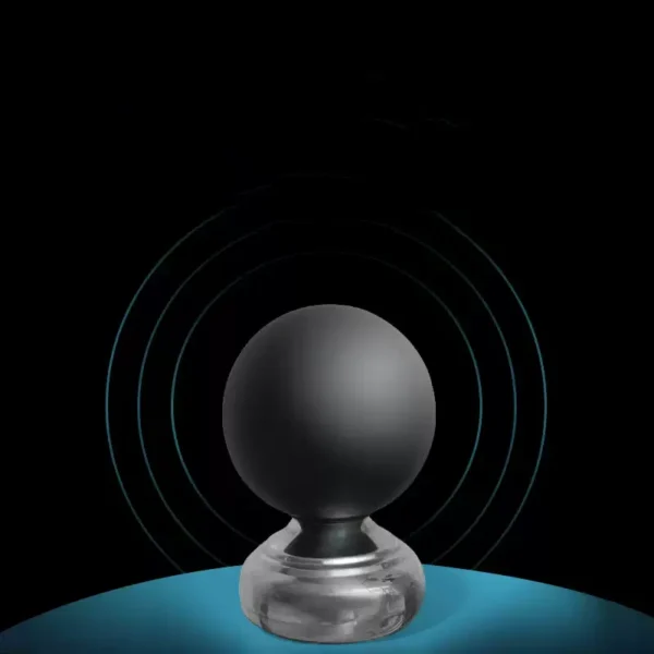 Black Globe Temperature Sensor