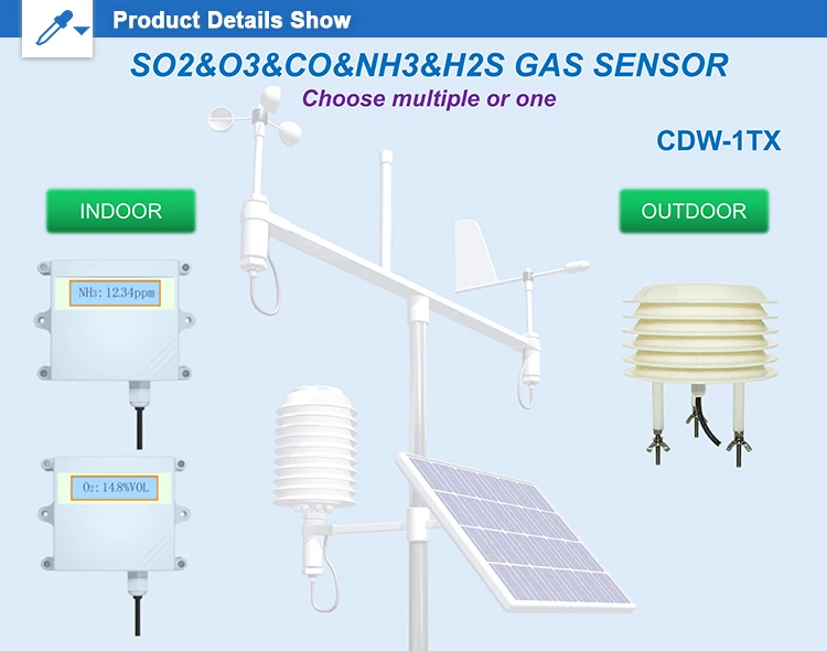 Future Prospects of Semiconductor Gas Sensors