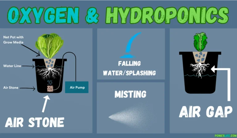 Monitoring Water Levels in Hydroponic Systems: Solutions and Best Practices