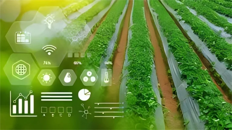Top 10 Sensors Employed in Smart Farming