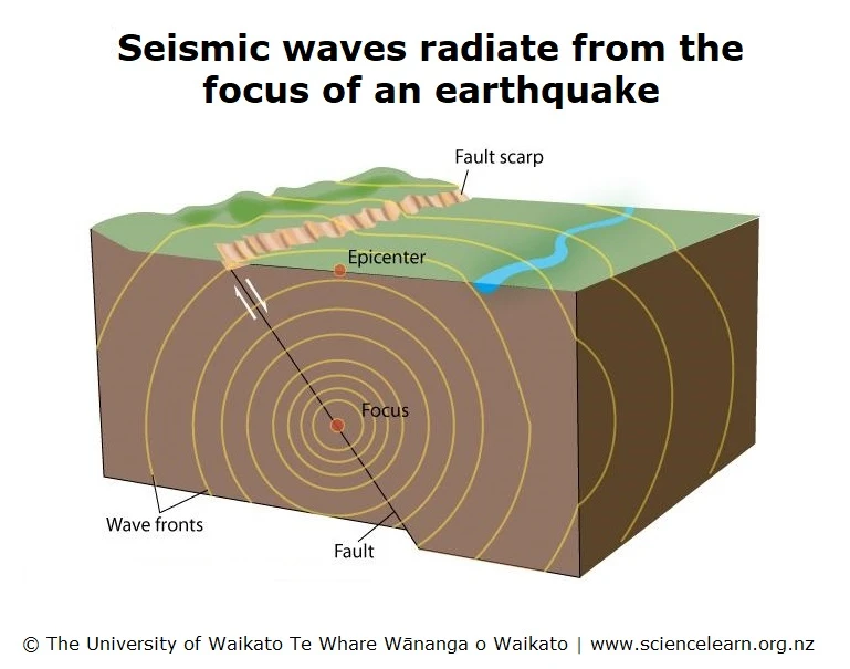 The Basics of Seismic Waves​