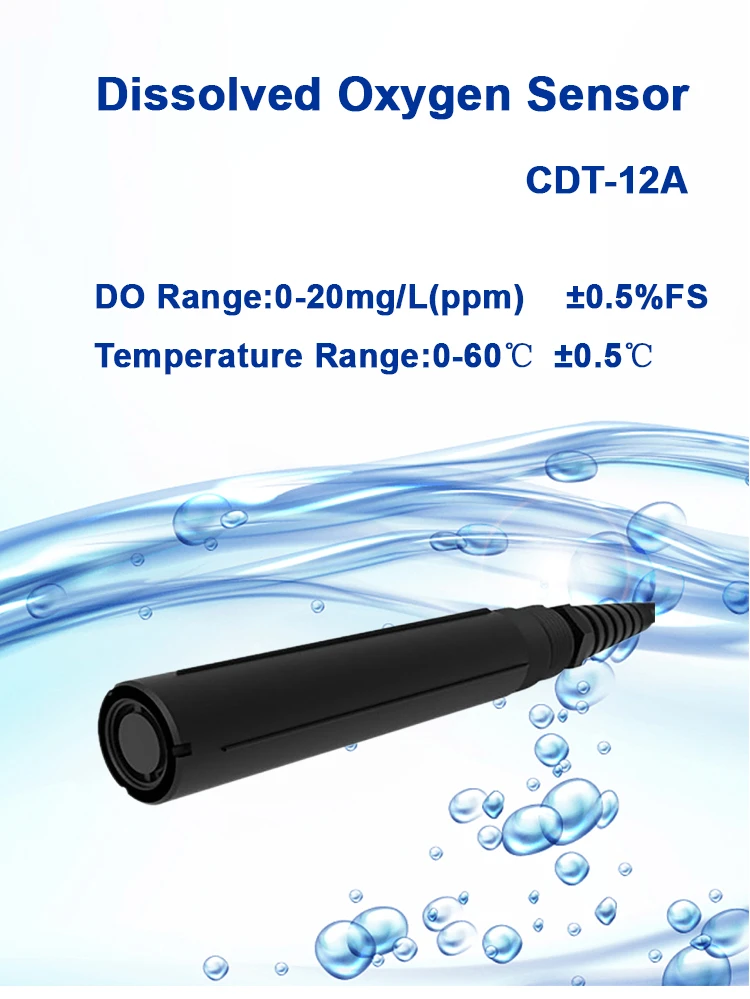 Dissolved Oxygen (DO) Sensors