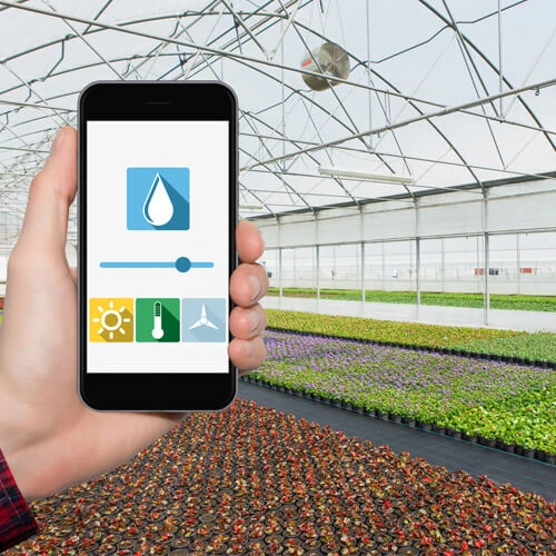 Sensors for Greenhouses