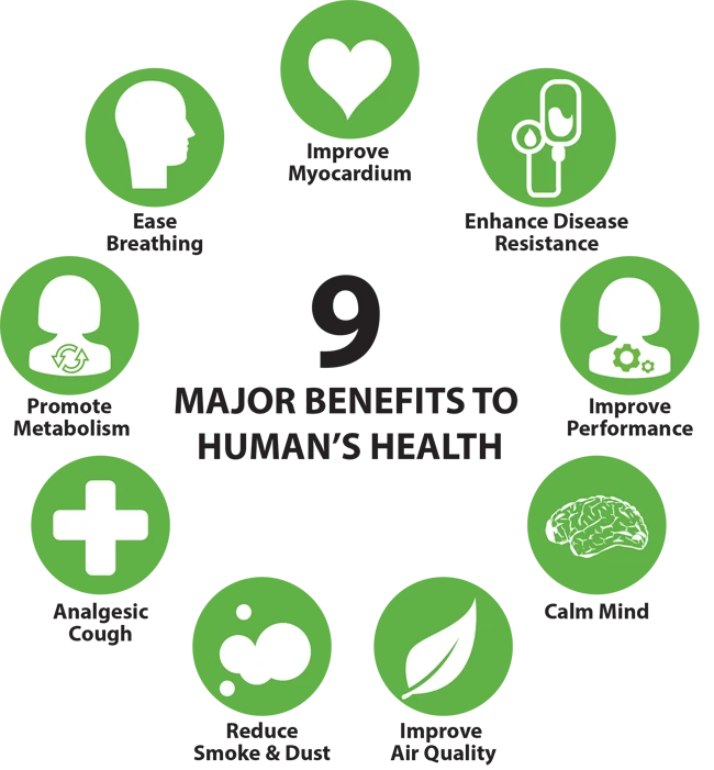 Ways to Increase Negative Oxygen Ions