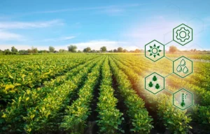 How Agrometeorological Stations Play a Critical Role in Agrometeorological Monitoring