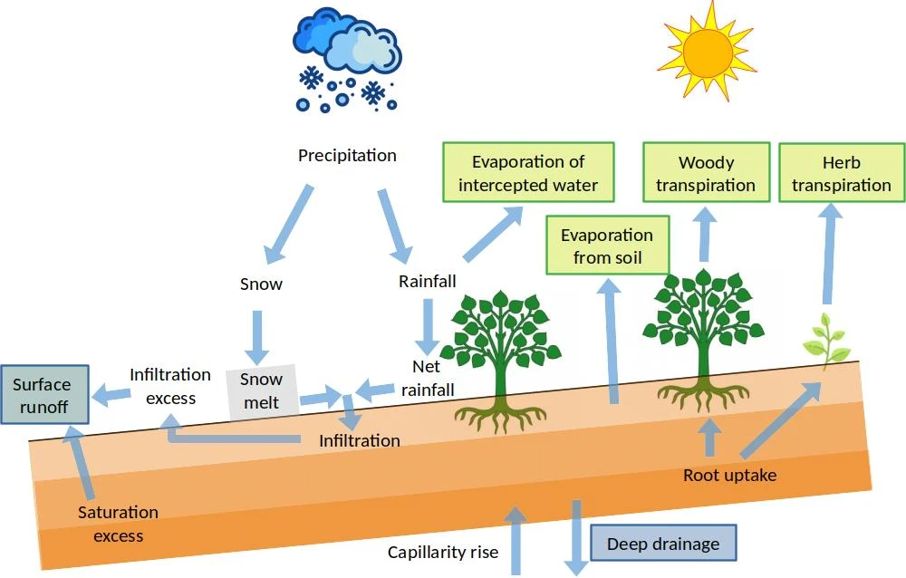 Understanding Soil Water