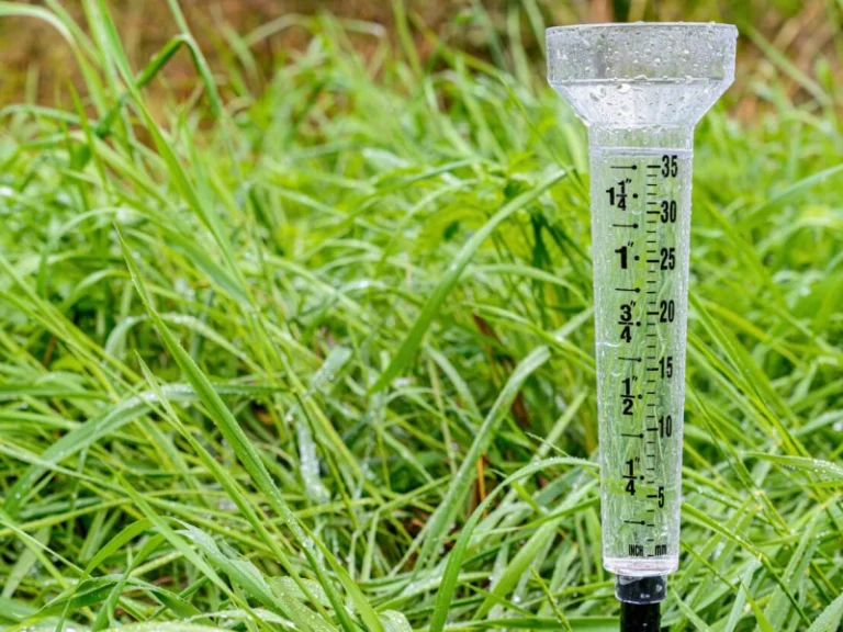What different units of measurement do rain gauges utilize?