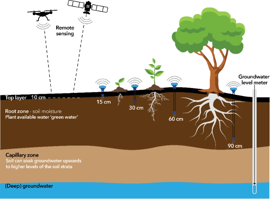 How Do Soil Moisture Sensors Work