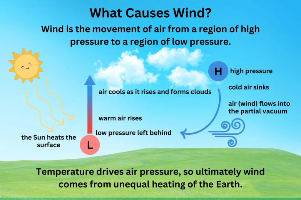 Factors That Affect Wind Speed and Direction