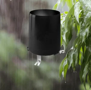 How Does a Rain Gauge Accurately Measure Precipitation Levels?
