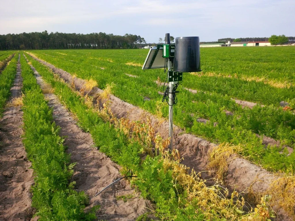 Soil Moisture Monitoring Stations: Essential Help for Today's Farming
