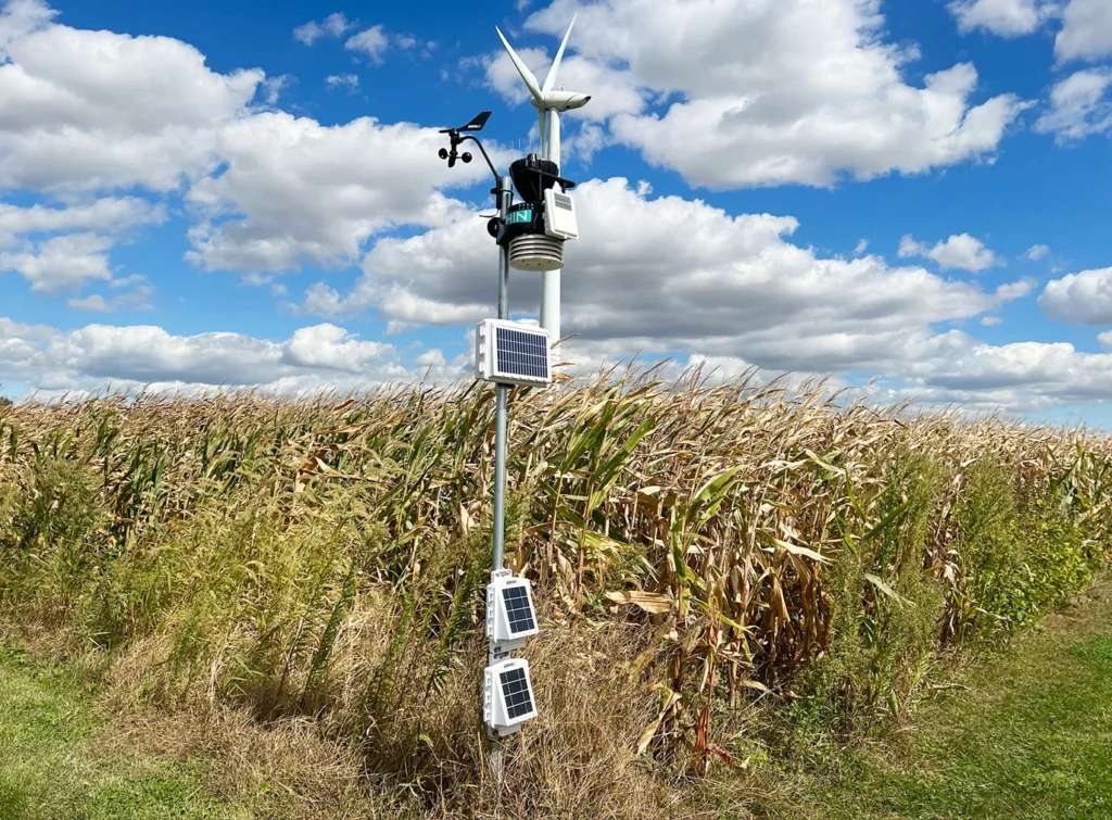 Automatic Weather Stations Changing Rice Farming