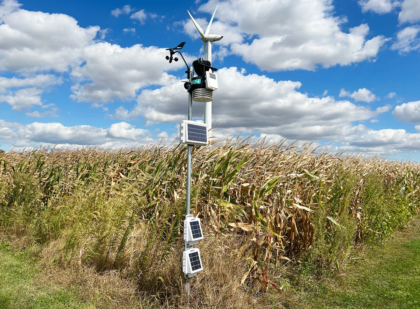 Automatic Weather Stations Changing Rice Farming