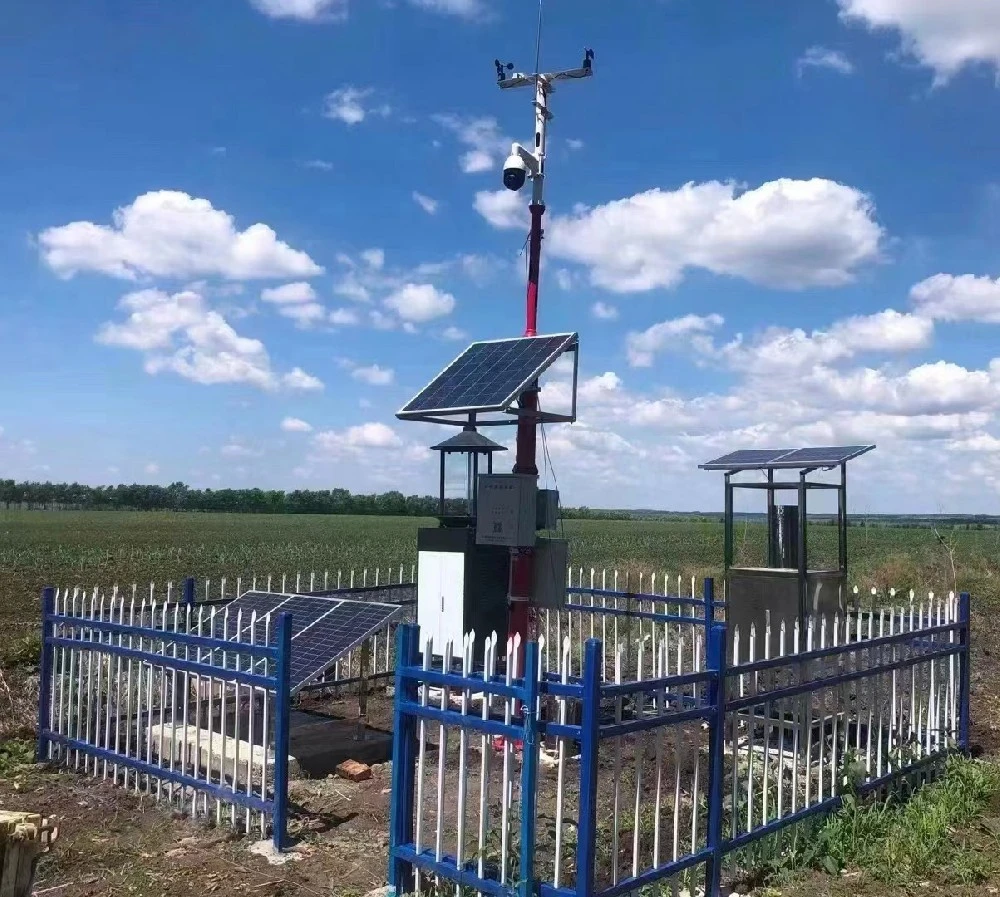 Automatic Weather Stations: Empowering Sustainable Rice Production Amidst Climate Challenges