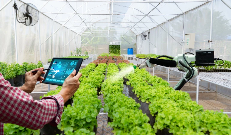 Greenhouse Monitoring Solutions