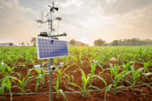 How Weather Sensors Promote Sustainable Agriculture Practices