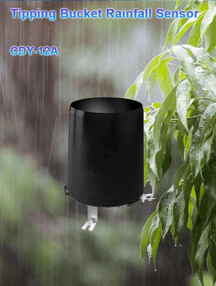 Understanding the Role of a Rain Sensor