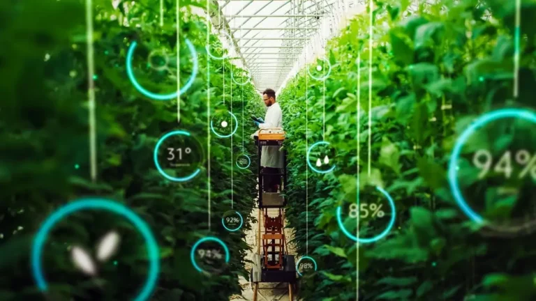 The Influence of Temperature and Humidity on the Health of Indoor Plants
