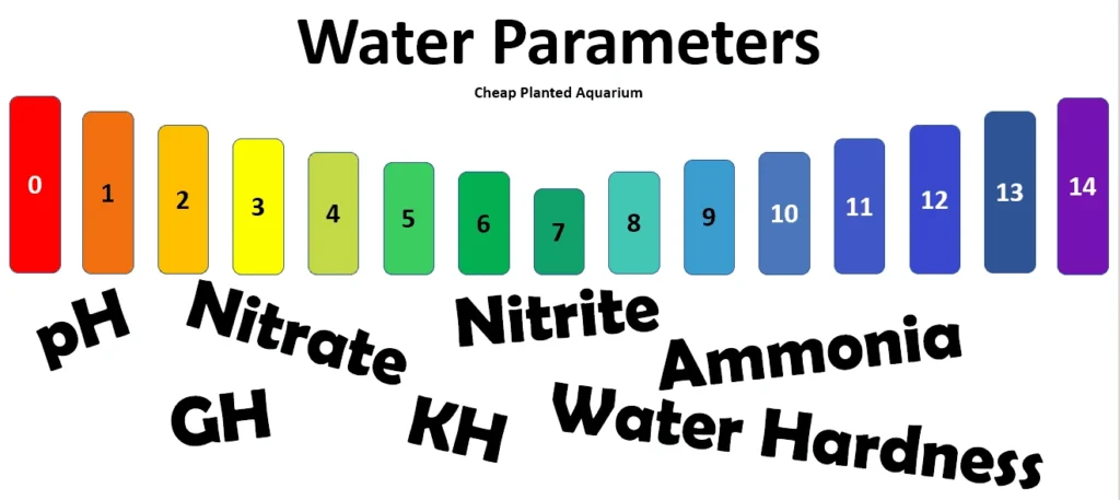 Top 3 Types of Water Quality Parameters
