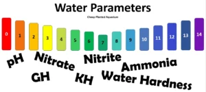 Top 3 Types of Water Quality Parameters