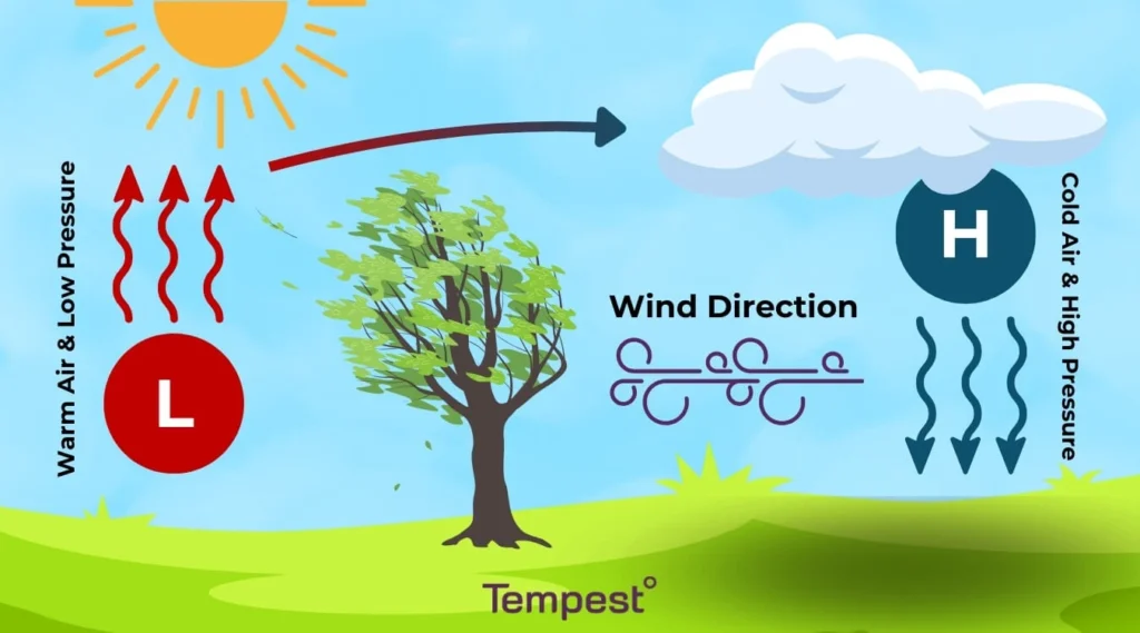 Understanding how wind is created