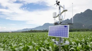 Optimizing Agriculture with Smart Farm Weather Stations