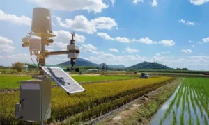 The Important Role of Tipping Bucket Rain Gauge Sensors in Agricultural Meteorological Stations