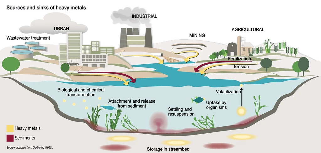 Water Quality Testing: Detecting Heavy Metal Ions