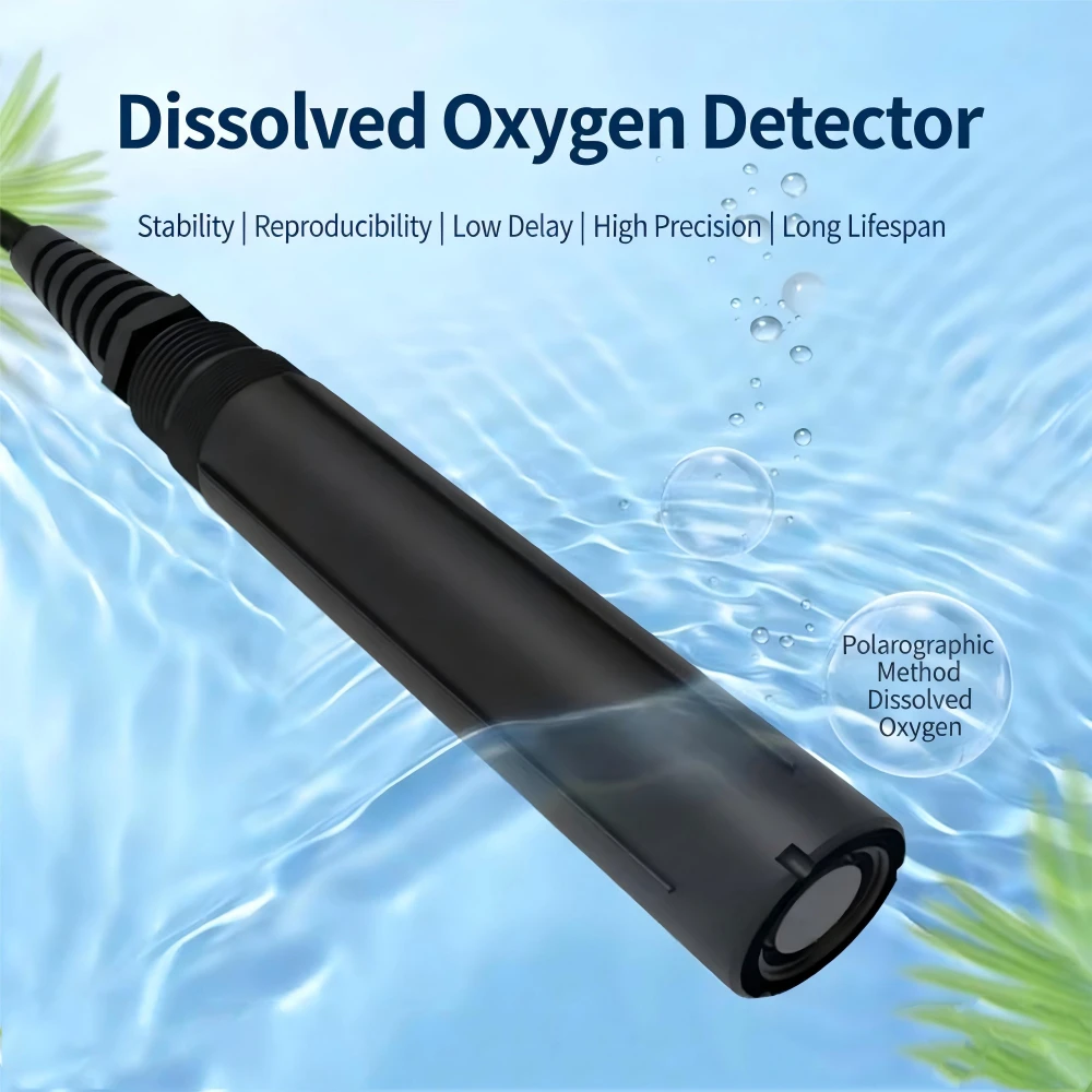 What is Dissolved Oxygen?