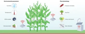 What types of sensors are used in precision agriculture?