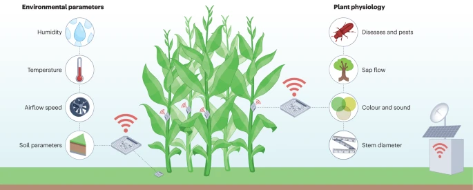 What types of sensors are used in precision agriculture?