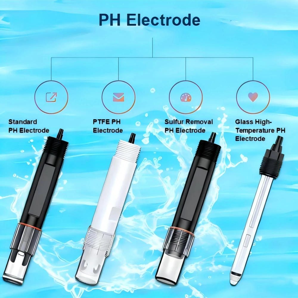 Understanding the Basics of pH