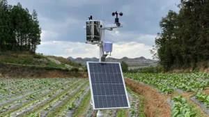 What is the purpose of a weather station?