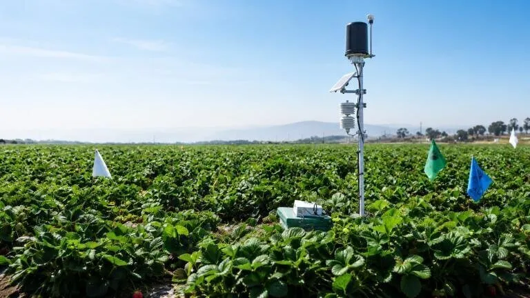 The Power of Field Environmental Monitoring Nodes